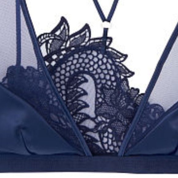 VS Luxe Lingerie Blue Dragon Lace Plunge Bra XS - Picture 2 of 11